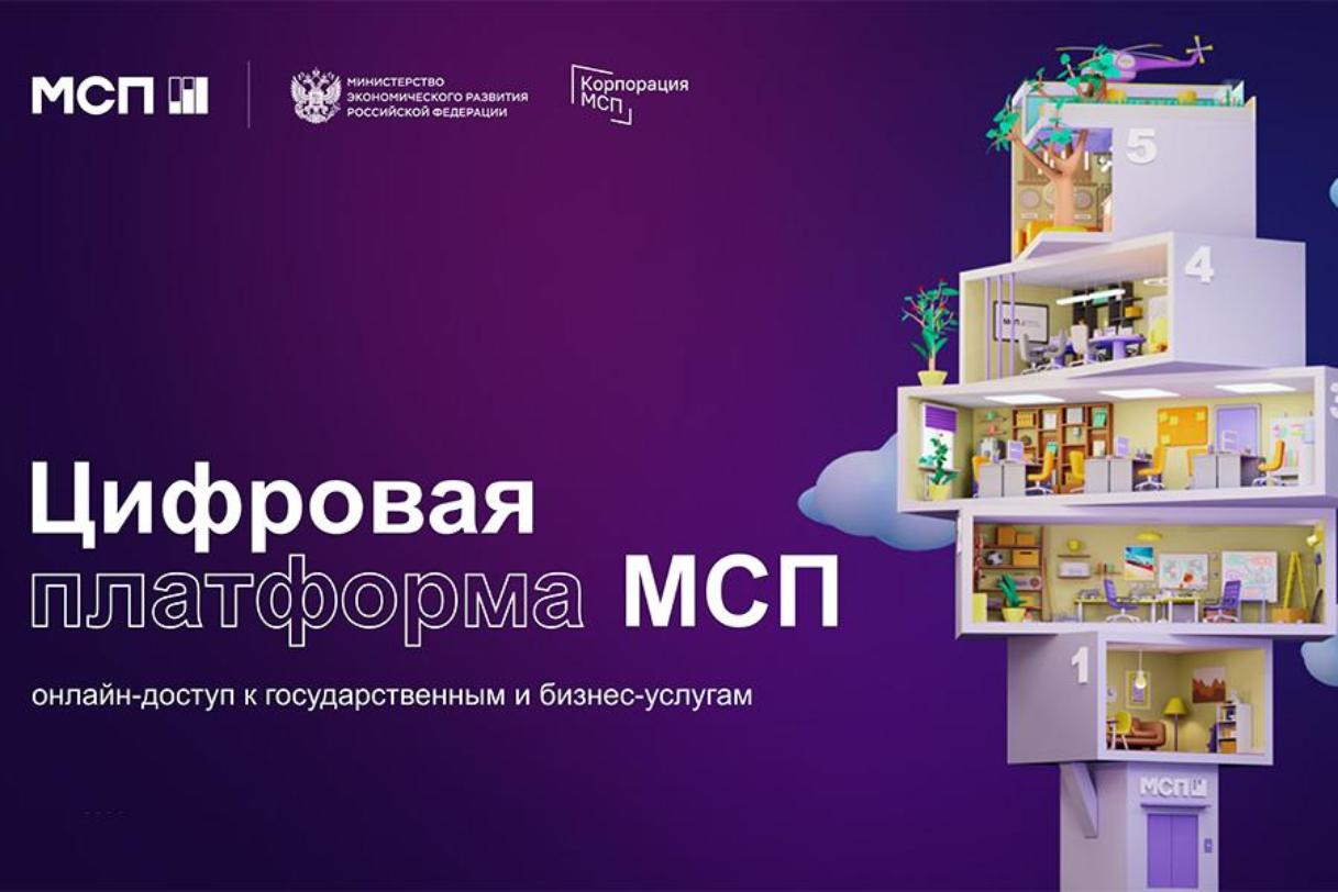  Меры поддержки МСП